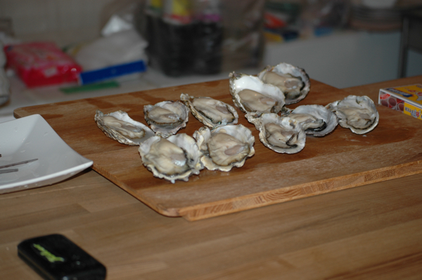 oyster_001